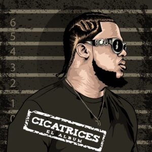 Cicatrices